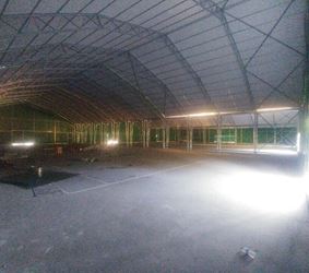 20171017_160455_Burst01