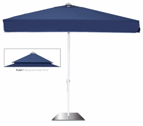 CLASBRELLA SQUARE.PNG